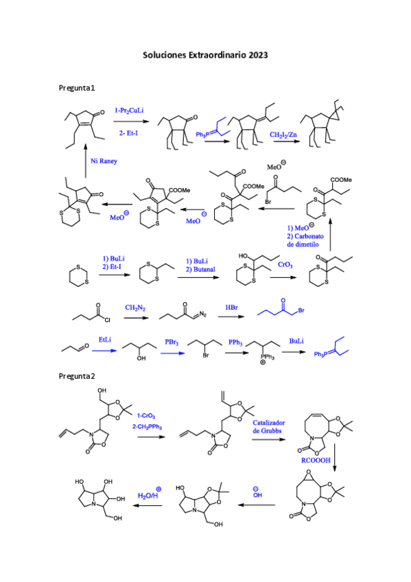 Miniatura del documento Soluciones-Extraordinario-2023.pdf