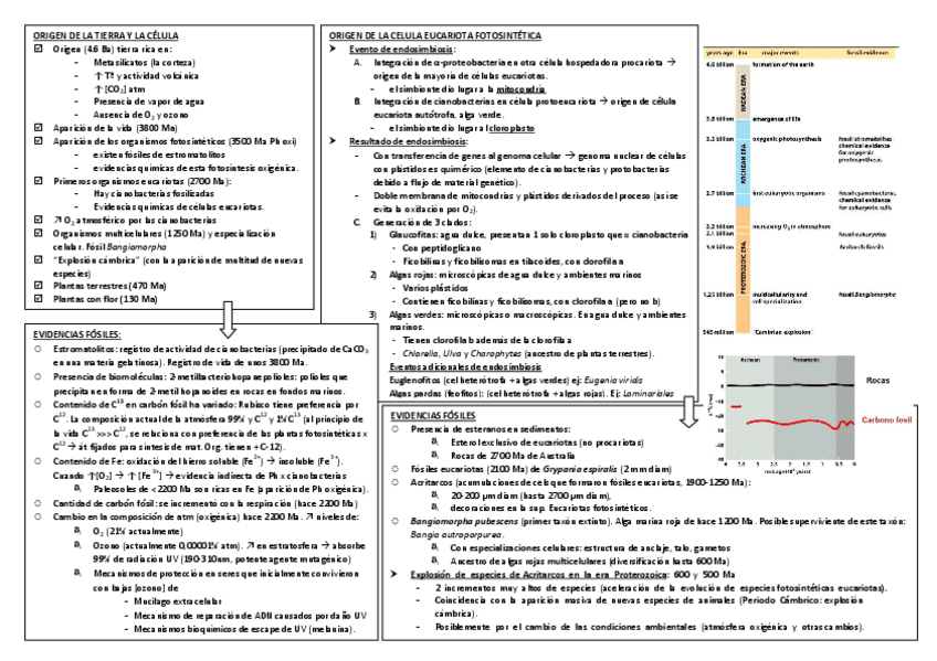 Miniatura del documento BMP.pdf