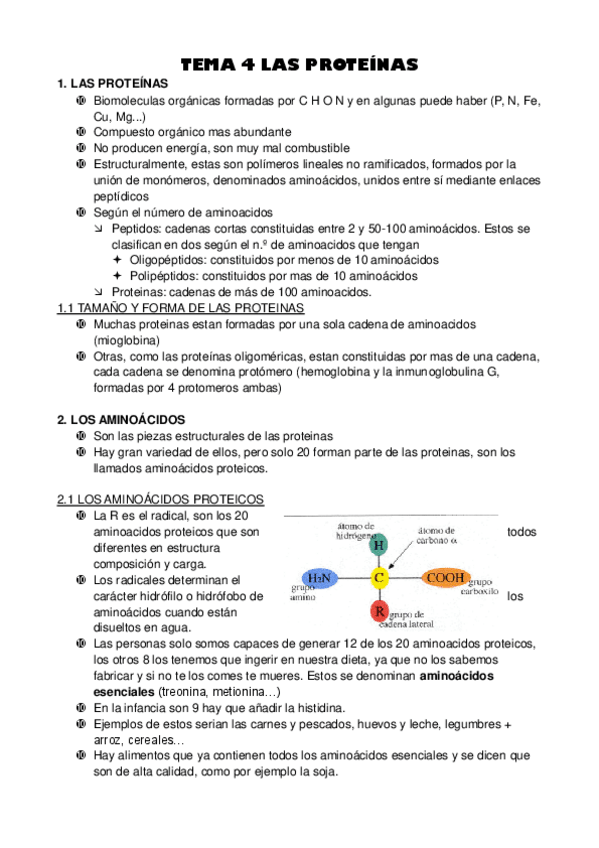 Miniatura del documento TEMA-4-LAS-PROTEINAS.pdf