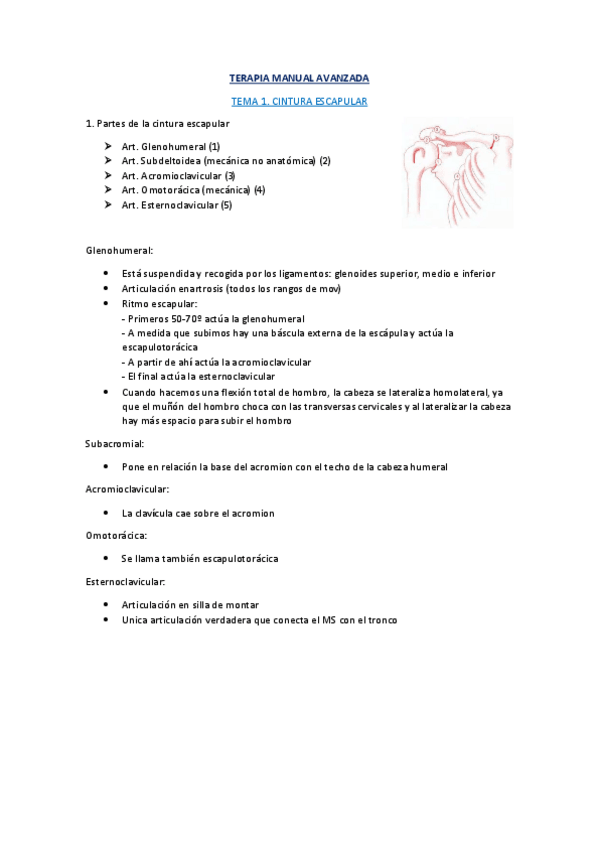 Miniatura del documento TERAPIA-MANUAL.pdf