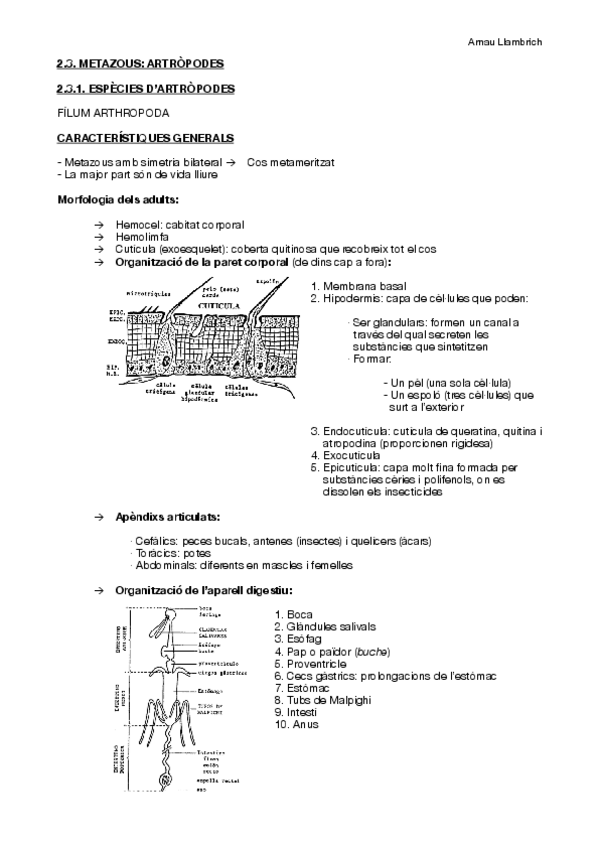 Miniatura del documento Apunts parasitologia (Els artròpodes).pdf