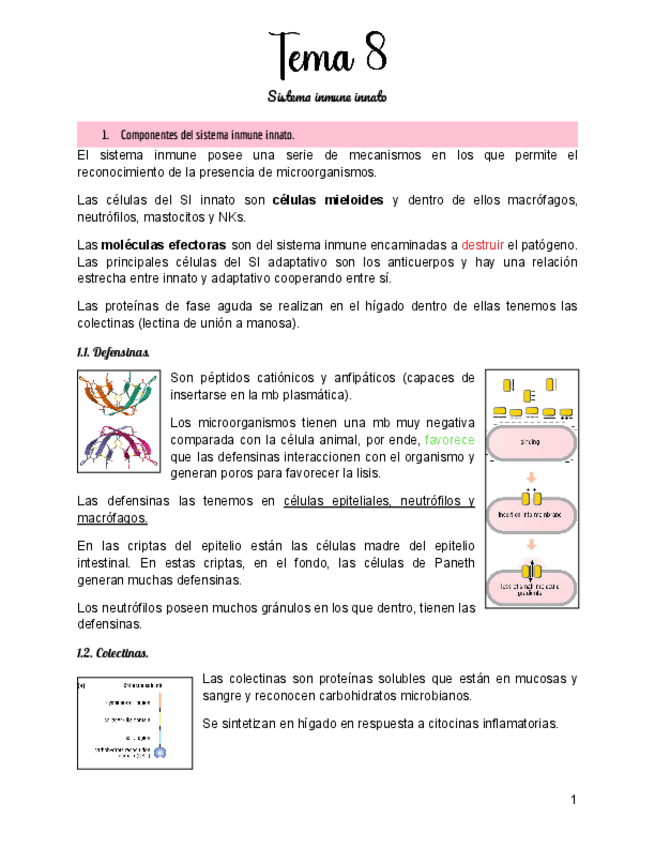 Miniatura del documento Tema-8-Ampli-de-Micro.pdf