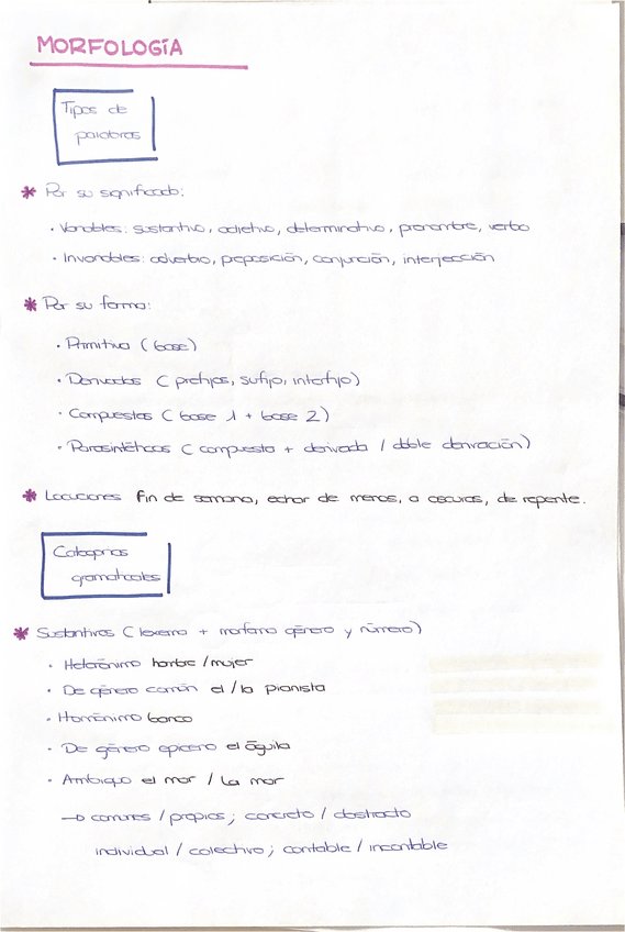 Miniatura del documento Morfologia.pdf
