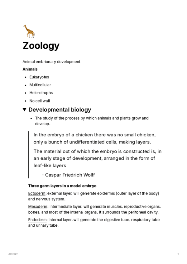 Miniatura del documento FB-Tema-6.pdf
