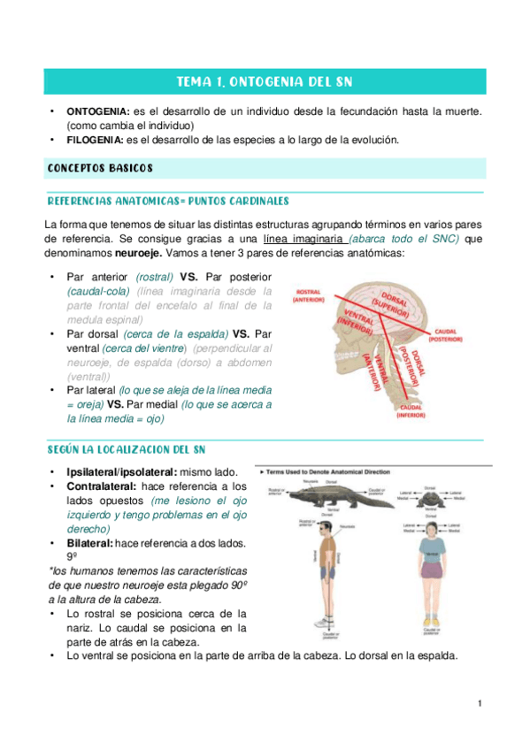 Miniatura del documento todo-psicobio-II.pdf