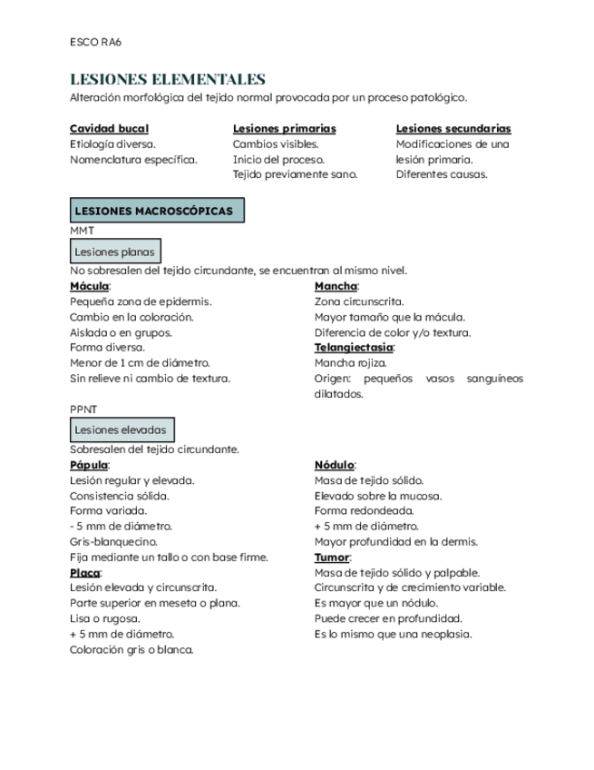 Miniatura del documento ESCO-RA6-Lesiones-en-la-cavidad-oral.pdf