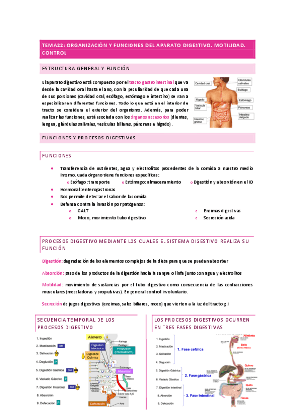 Miniatura del documento T22.-Organizacion-y-funciones-del-aparato-digestivo.-Motilidad.-Control.pdf