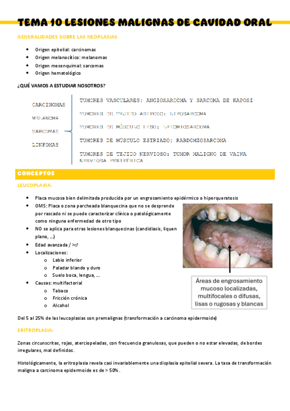 Miniatura del documento T10-Anatomia-patologica.pdf