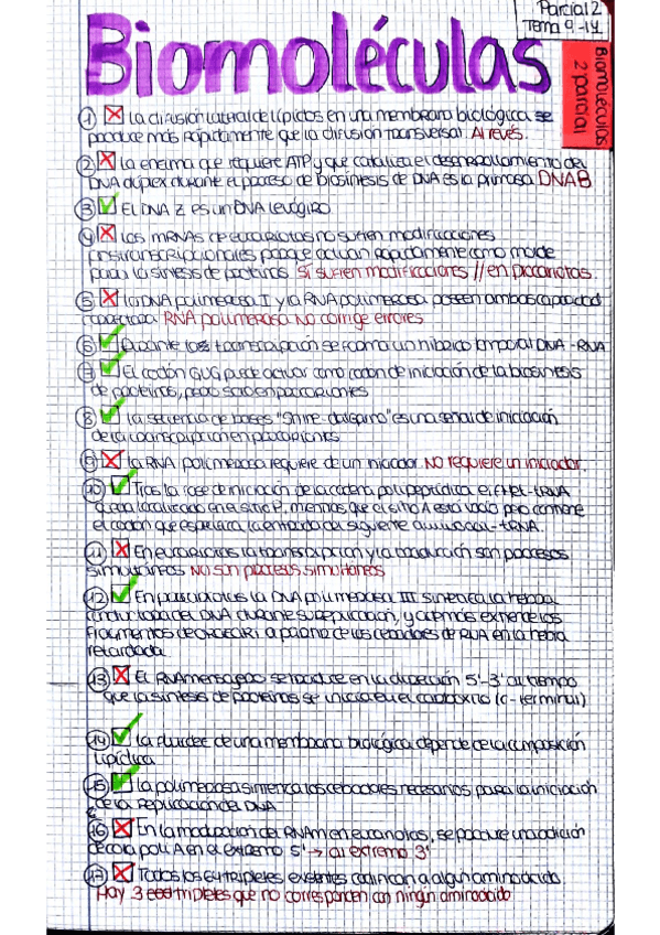 Miniatura del documento Documento (1).pdf