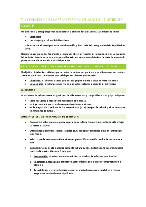 Miniatura del documento Paradigma-de-la-transformacion-de-Leininger.pdf