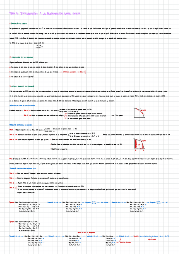 Miniatura del documento Tema-7-programacion-lineal-entera.pdf