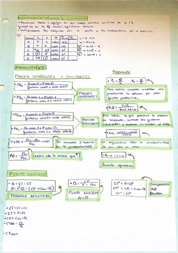 Miniatura del documento Esquemas-practica-eficiencia-tecnica-y-economica-productividad-y-punto-muerto.pdf