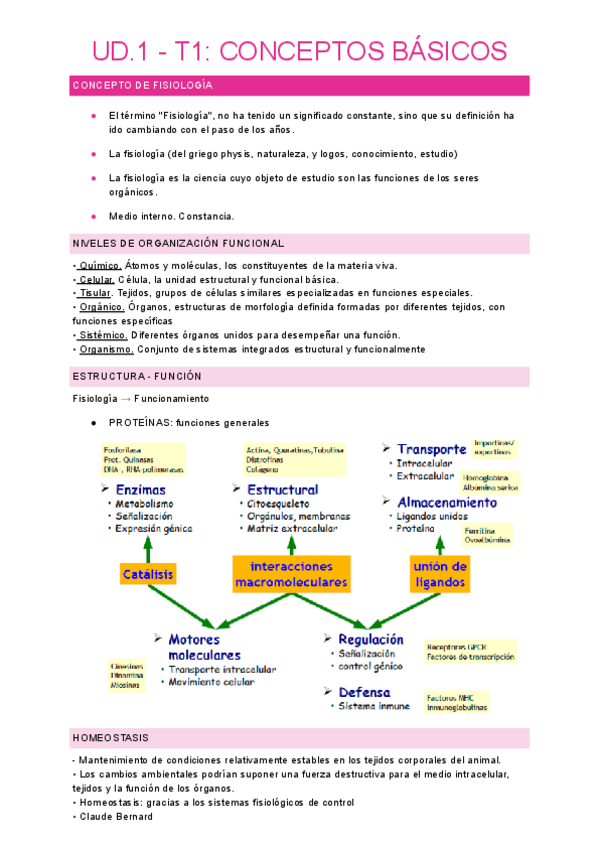 Miniatura del documento UD.1-T1.pdf