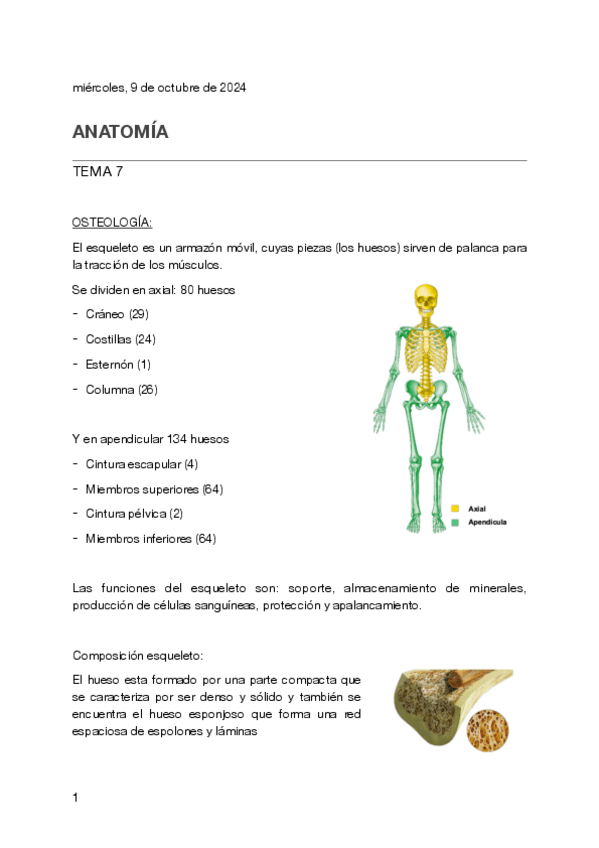 Miniatura del documento Tema-7-anatomia.pdf