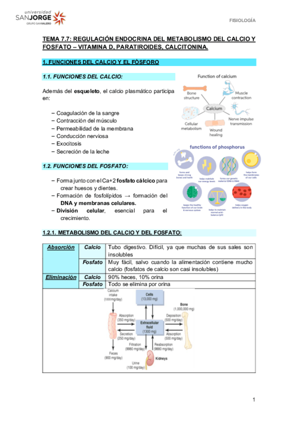 Miniatura del documento T7.7.pdf