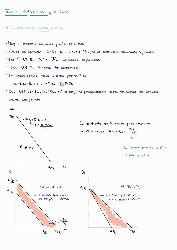 Miniatura del documento Apuntes-tema-1.pdf