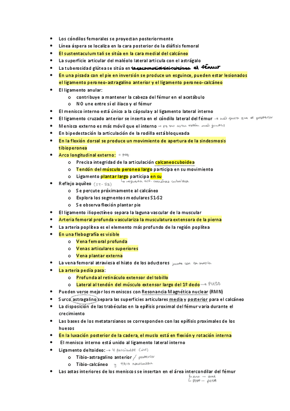 Miniatura del documento Extremidad-inferior-frases-importantes.pdf
