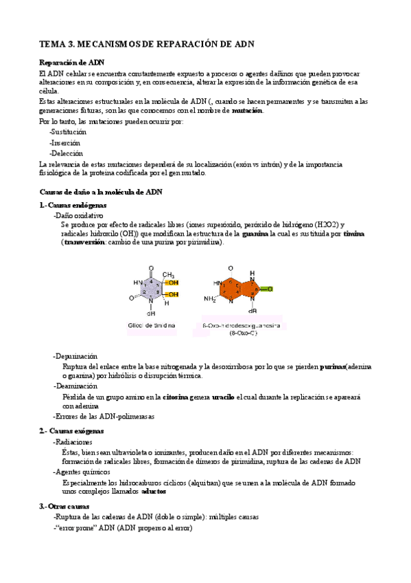 Miniatura del documento T3. Mecanismos reparación ADN.pdf