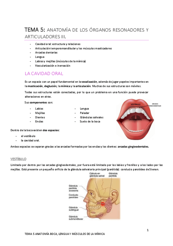 Miniatura del documento Tema-5.-Boca-lengua-y-m.-mimica.pdf