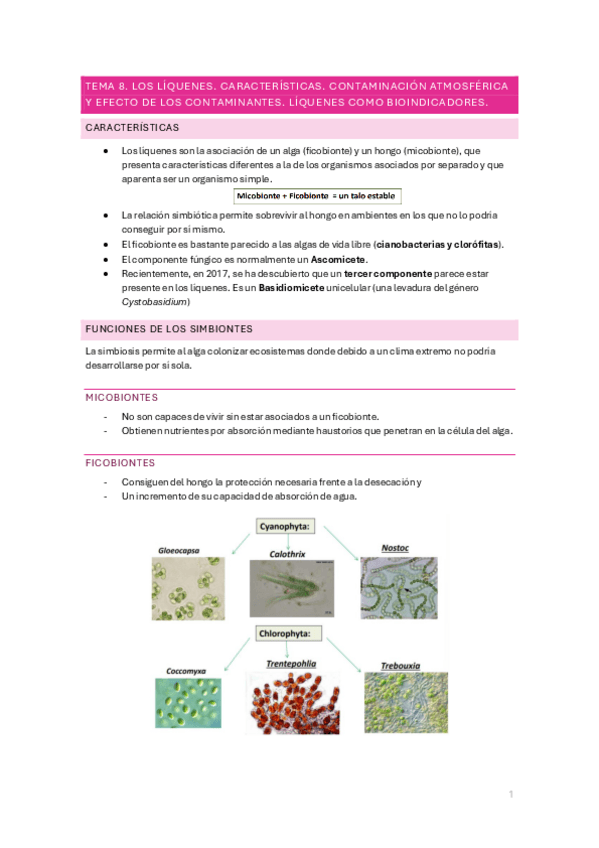 Miniatura del documento T8.-Liquenes.pdf