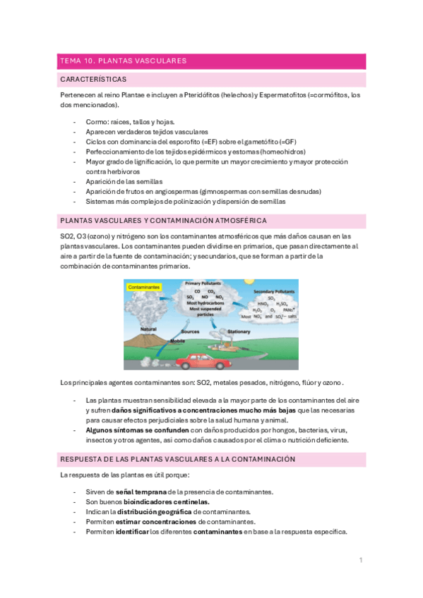 Miniatura del documento Tema-10.-Plantas-vasculares.pdf