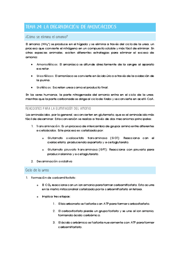Miniatura del documento Tema 24: La degradación de aminoácidos.pdf