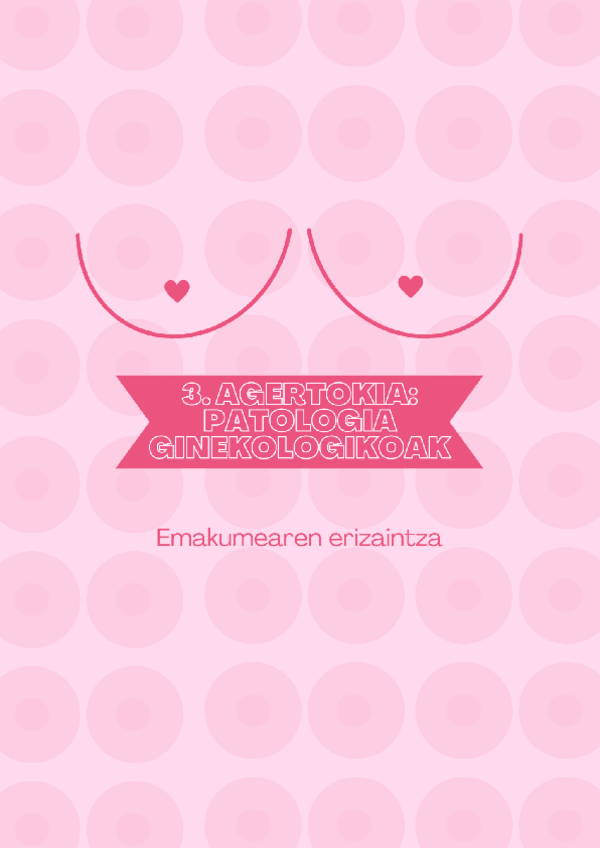 Miniatura del documento 3.-Agertokia-Emakumearen-erizaintza.pdf
