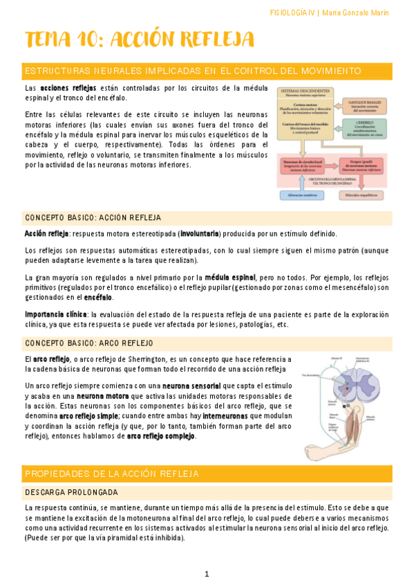 Miniatura del documento fisio-pablo-barrecheguren-parte-2.pdf