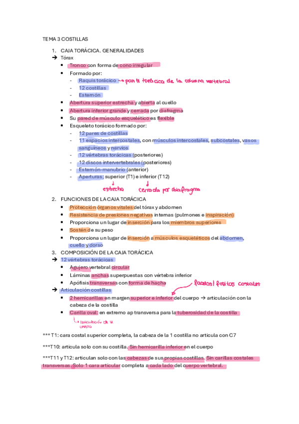 Miniatura del documento TEMA-2-COSTILLAS-apuntes250123113519.pdf