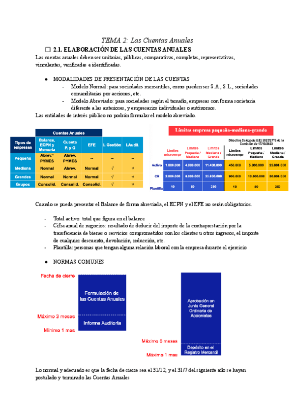 Miniatura del documento TEMA-2-Las-Cuentas-Anuales.pdf