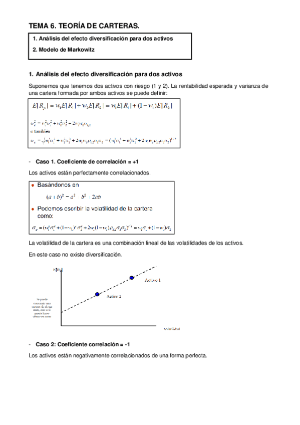 Miniatura del documento TEMA 6. TEORÍA DE CARTERAS.pdf