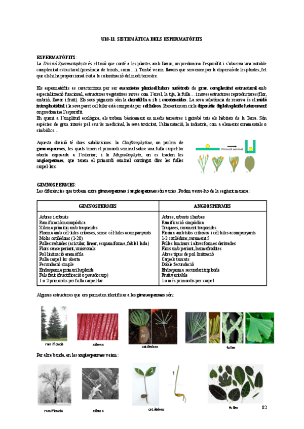 Miniatura del documento U10-11-botanica.pdf