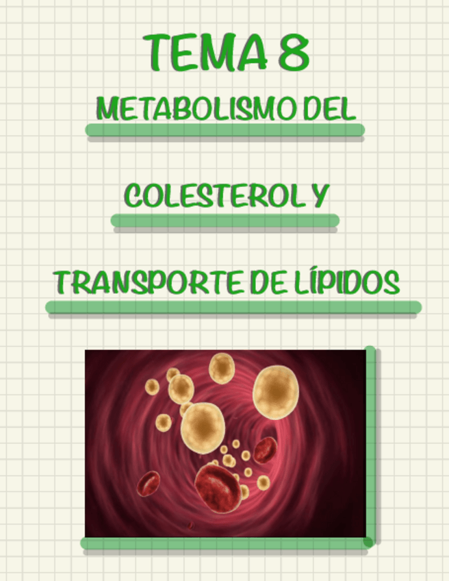 Miniatura del documento TEMA-8-METABOLISMO-DEL-COLESTEROL-Y-TRANSPORTE-DE-LIPIDOS.pdf