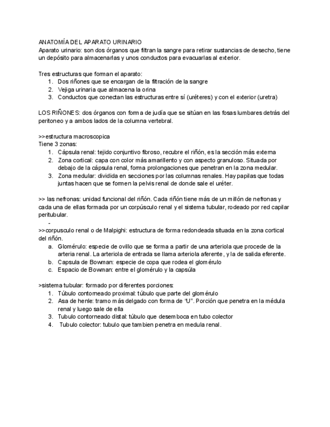 Miniatura del documento anatomia-aparato-urinario.pdf