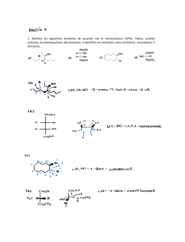 Miniatura del documento Boletin-7-organica.pdf