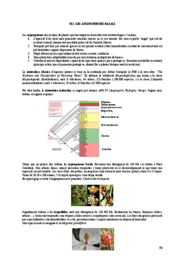 Miniatura del documento U12-botanica.pdf