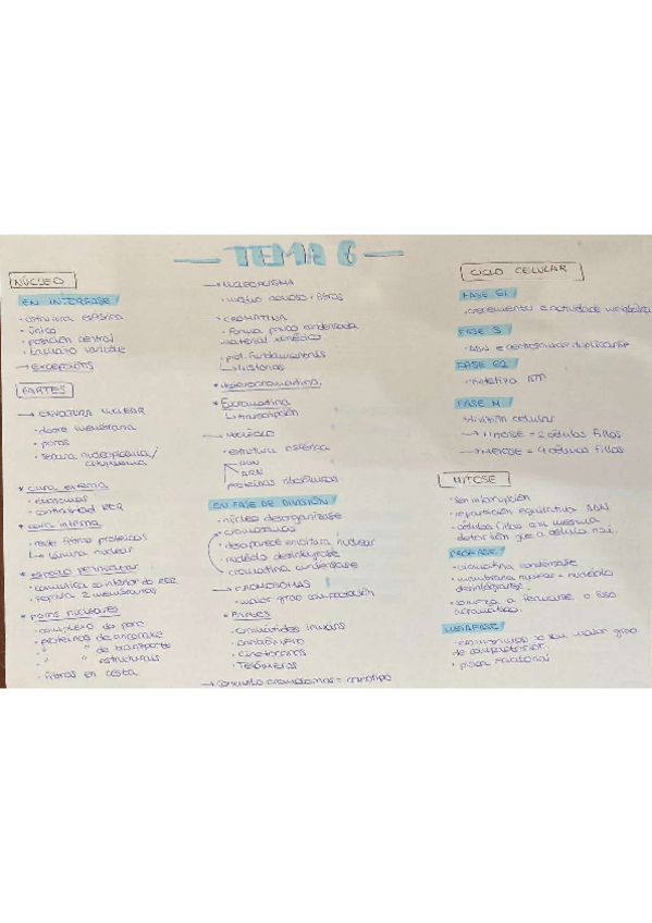 Miniatura del documento ESQUEMAS-CICLO-CELULAR.pdf