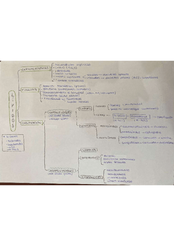 Miniatura del documento ESQUEMAS-GLUCIDOS-Y-LIPIDOS.pdf