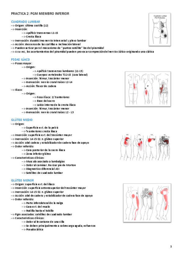 Miniatura del documento PRACTICA-2.pdf