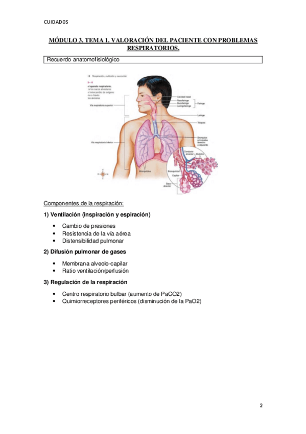 Miniatura del documento 2o-SEMESTRE-CUIDADOS.pdf