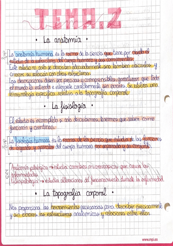 Miniatura del documento Tema-2-anatomia-2024-25.pdf