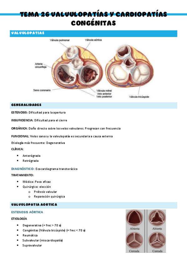 Miniatura del documento T26-Patologia-medica-general.pdf