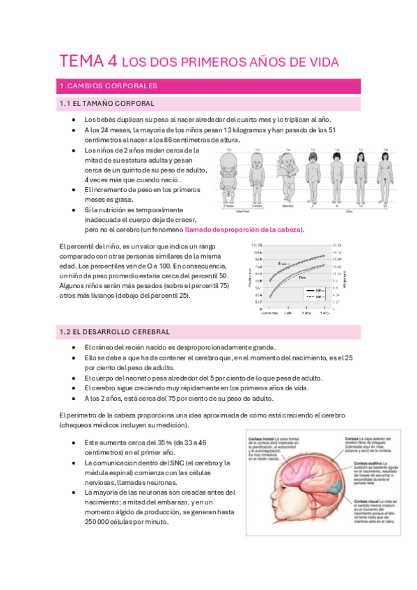 Miniatura del documento tema-4-Desarrollo-I-2o-Parcial.pdf