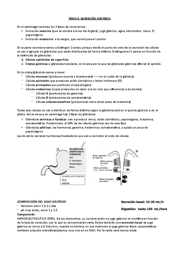 Miniatura del documento tema-6-fisio-digestivo.pdf