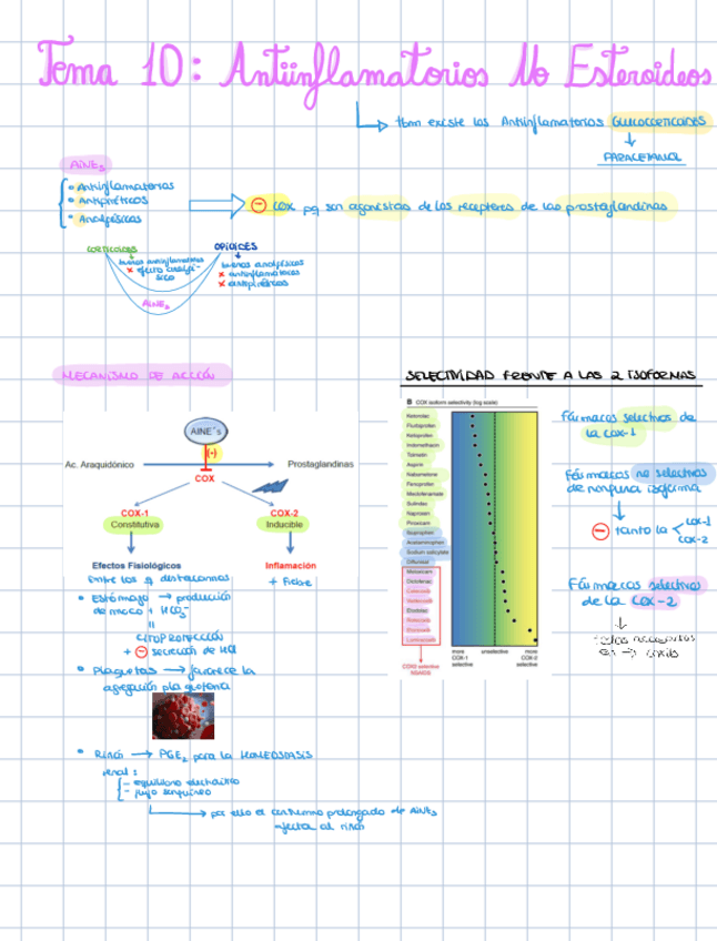 Miniatura del documento TEMA-10-Antiinflamatorios-No-Esteroideos.pdf