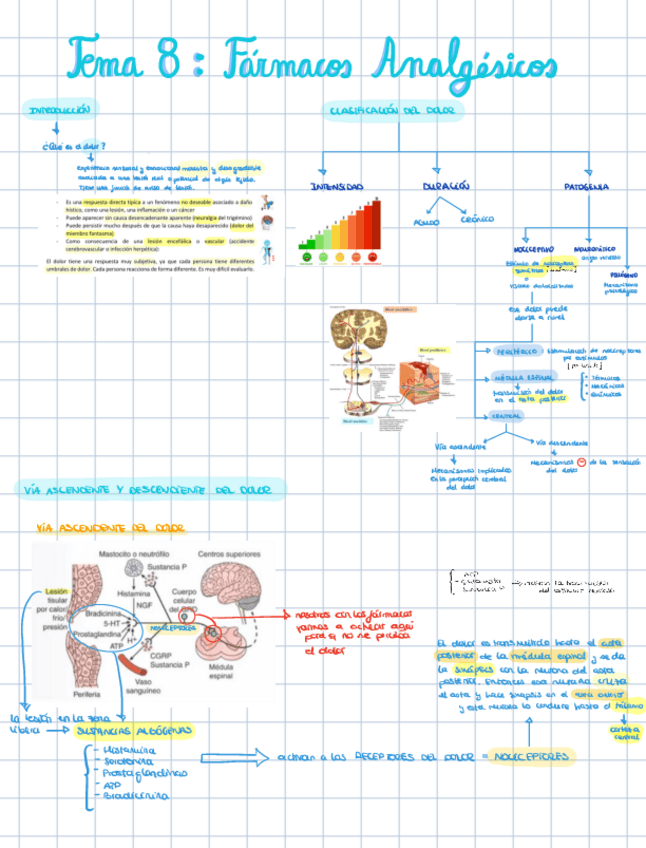 Miniatura del documento TEMA-8-Farmacos-Analgesicos.pdf