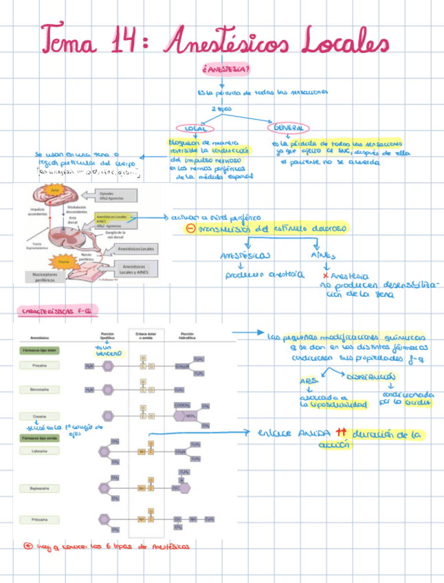 Miniatura del documento TEMA-14-Anestesicos-Locales.pdf