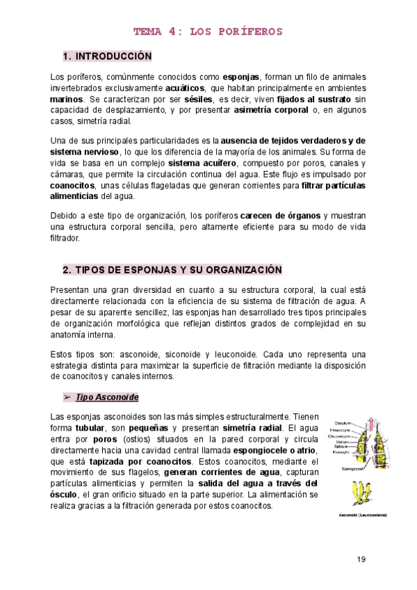 Miniatura del documento TEMA-4.pdf