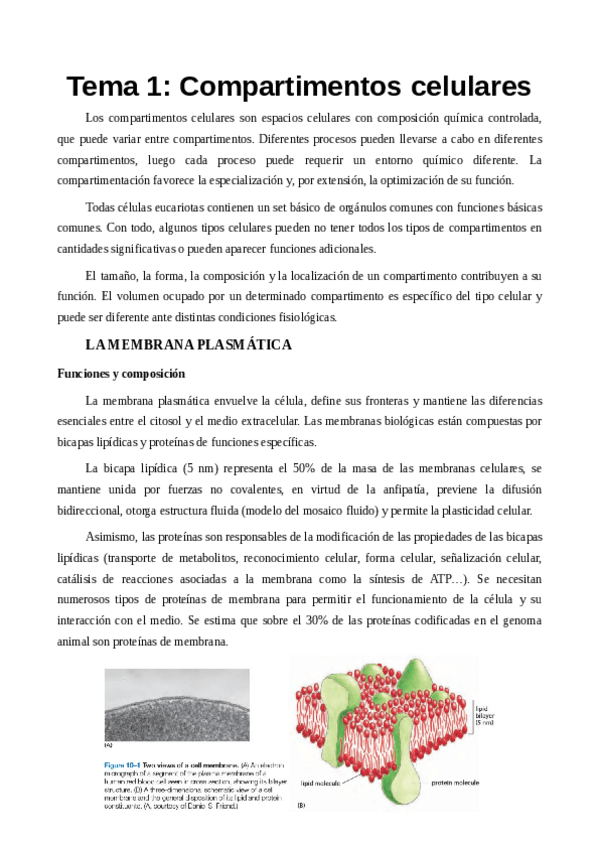 Miniatura del documento TEMA 1.pdf