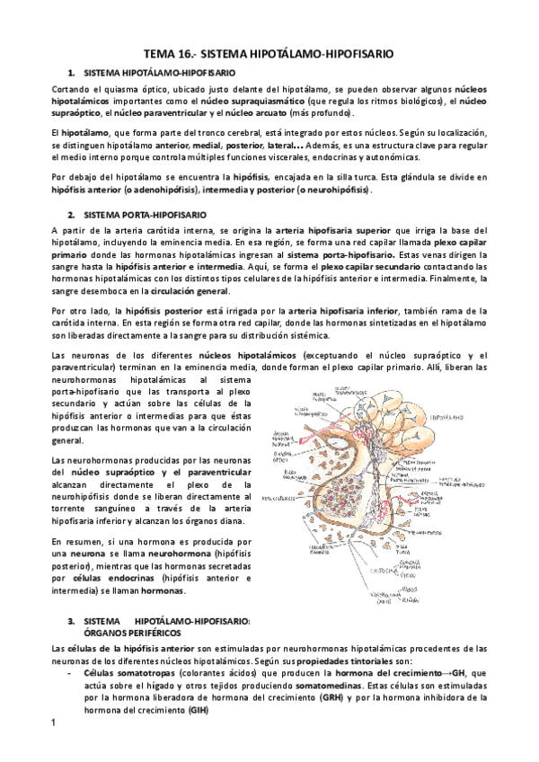 Miniatura del documento TEMA-16-FA.pdf